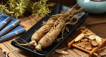 Manfaat Ginseng Akar Ajaib dengan Segudang Kesehatan