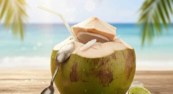Air Kelapa Muda Minuman Alami Penyejuk Tubuh