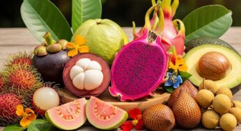 Buah Lokal yang Tak Kalah Hebat dari Superfood