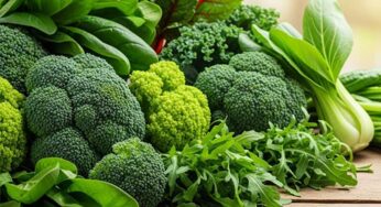 Hijau yang Menyehatkan Manfaat Sayur-Sayuran untuk Tubuh