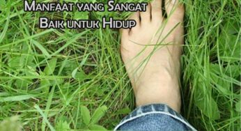 BerJalan Tanpa Alas Kaki: Manfaat yang Sangat Baik untuk Hidup