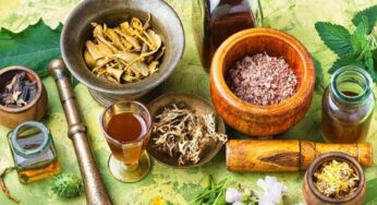 Beragam Manfaat Tanaman Herbal: Warisan Alami untuk Kesehatan