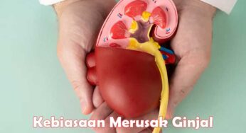 Kebiasaan Merusak Ginjal yang Sering Tak Disadari