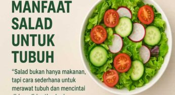 Manfaat Salad untuk Tubuh: Lezat, Segar, dan Penuh Nutrisi