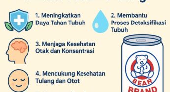Manfaat Susu Beruang untuk Kesehatan Tubuh dan Masa Depan